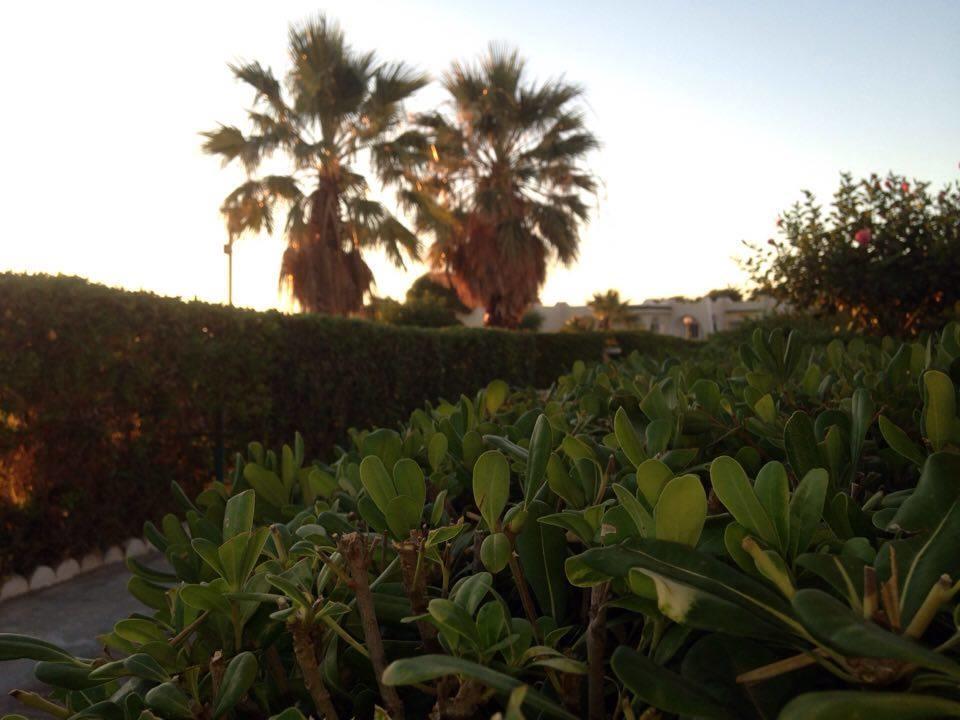 Hotel Complexe Touristique Sidi Salem Bizerte Esterno foto